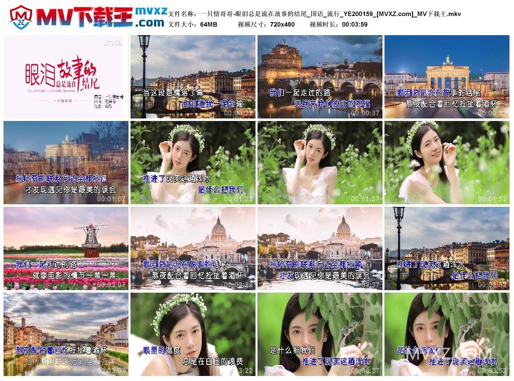 一只情哥哥-眼泪总是流在故事的结尾_国语_流行_YE200159